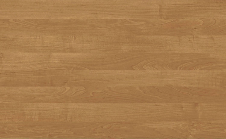 Alder Mountain Dark 0032