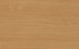 Beech Bavaria Light 0038