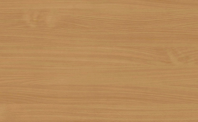 Beech Bavaria Light 0038