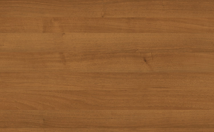 Hazelnut 0008