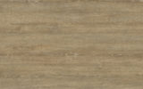 Oak Ancient 0319