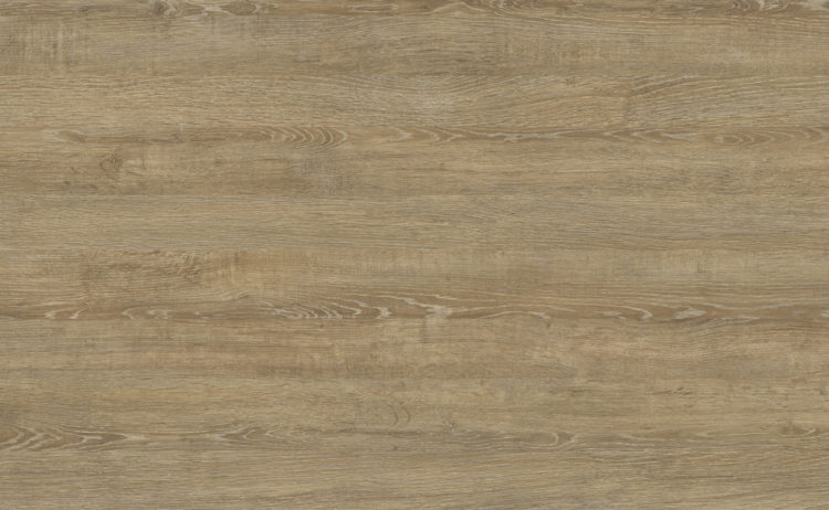 Oak Ancient 0319