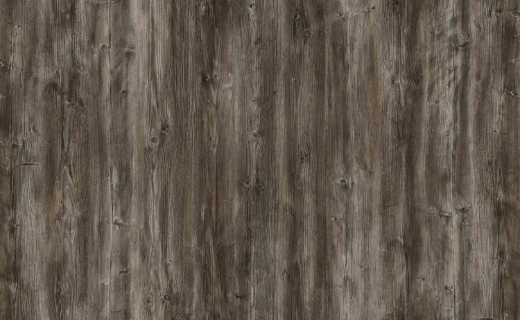 Oak Moras 0484