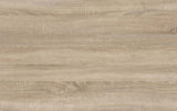 Oak Sonoma 0331