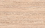 Oak Ussuri 0377