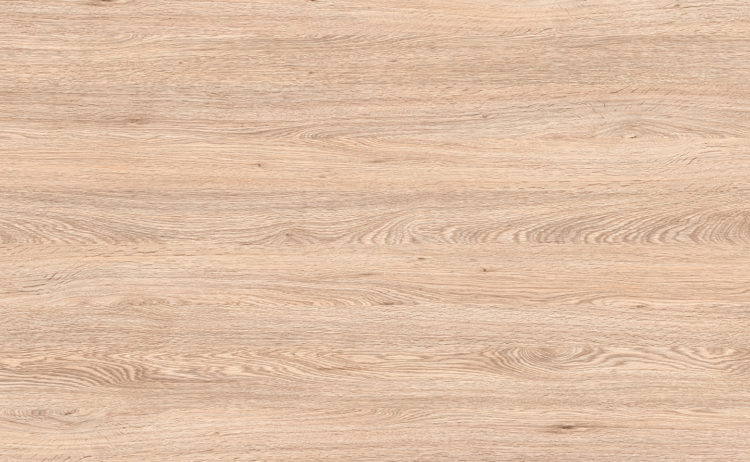 Oak Ussuri 0377