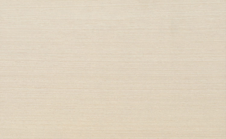 Wenge Light 0289