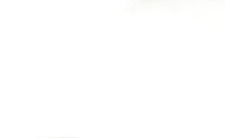 White Elite 0345