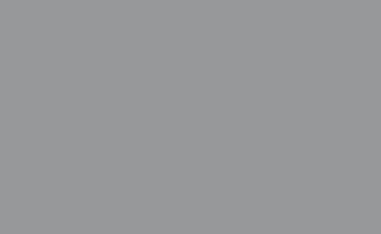 Сірий-Кіт-Gray-Cat-0590